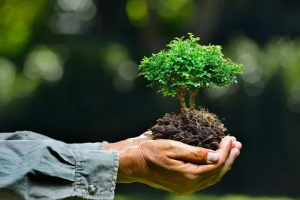 dinas lingkungan hidup